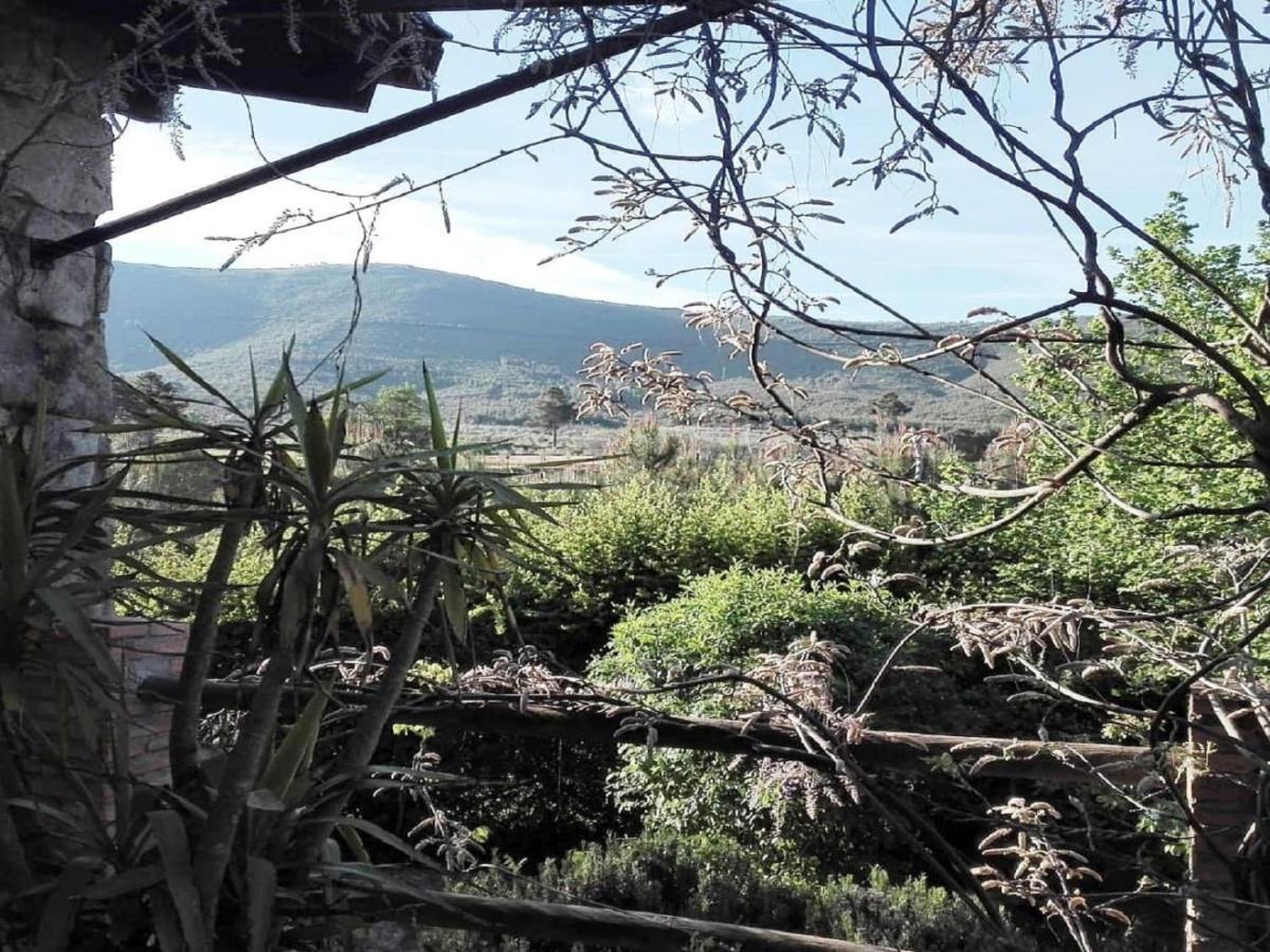 Naturaleza, Confort Y Vistas Inigualable En Casa Rural La Cumbre Gata Eksteriør billede