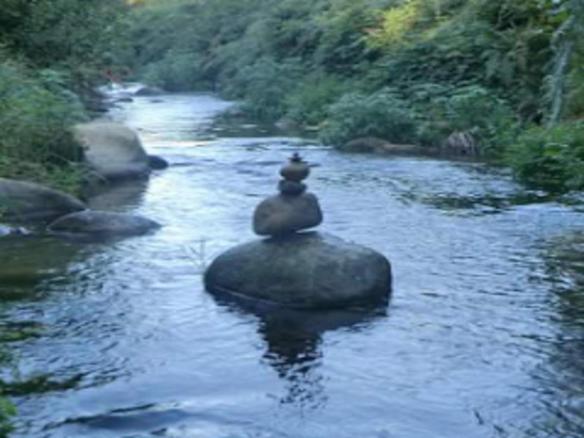 Naturaleza, Confort Y Vistas Inigualable En Casa Rural La Cumbre Gata Eksteriør billede