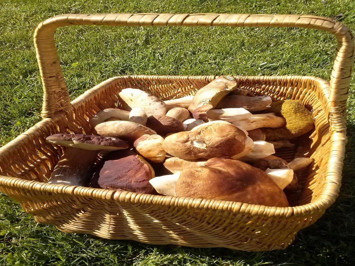 Naturaleza, Confort Y Vistas Inigualable En Casa Rural La Cumbre Gata Eksteriør billede