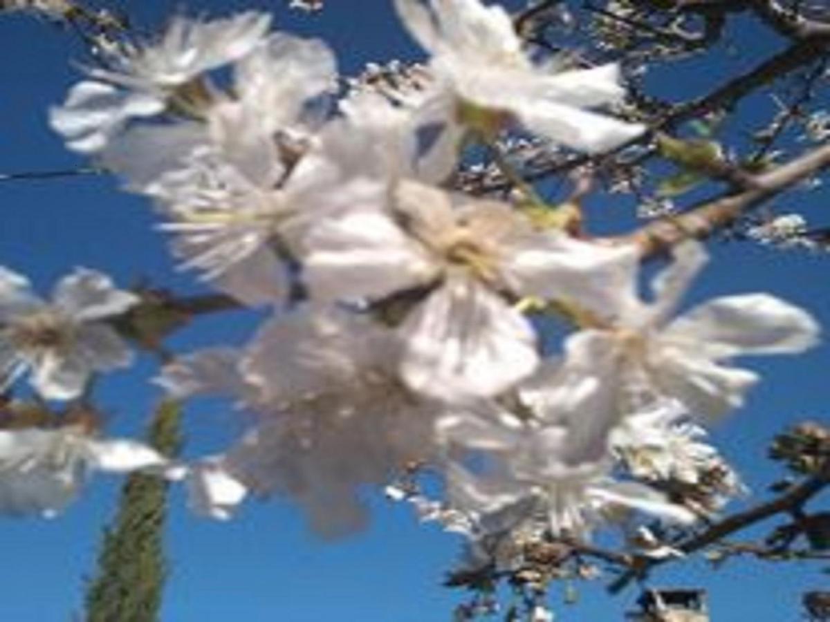 Naturaleza, Confort Y Vistas Inigualable En Casa Rural La Cumbre Gata Eksteriør billede