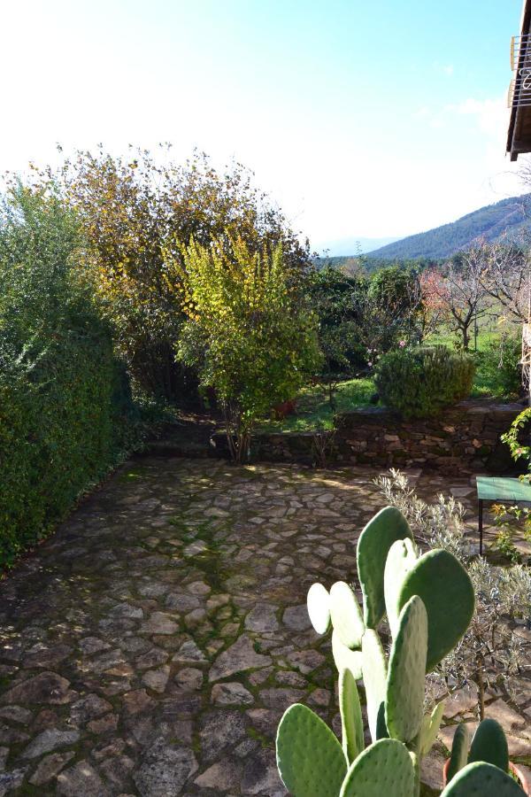 Naturaleza, Confort Y Vistas Inigualable En Casa Rural La Cumbre Gata Eksteriør billede