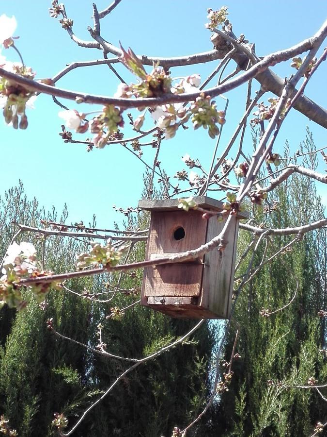 Naturaleza, Confort Y Vistas Inigualable En Casa Rural La Cumbre Gata Eksteriør billede